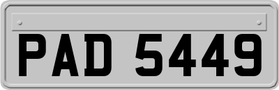 PAD5449