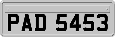 PAD5453