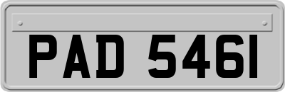 PAD5461