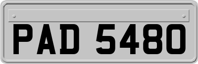 PAD5480