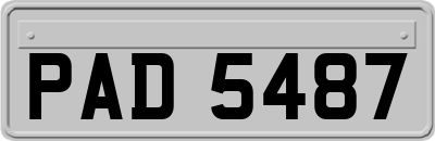 PAD5487