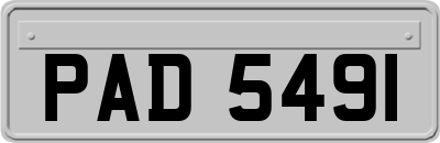 PAD5491
