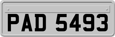 PAD5493