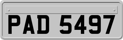 PAD5497