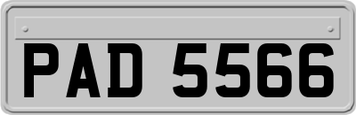 PAD5566