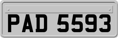 PAD5593