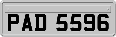 PAD5596