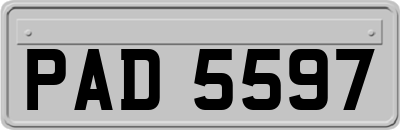 PAD5597