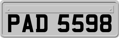 PAD5598