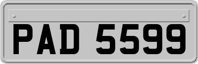 PAD5599