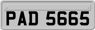 PAD5665