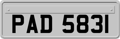 PAD5831