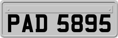 PAD5895
