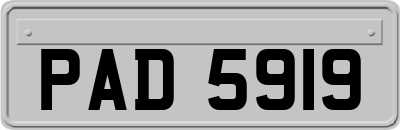 PAD5919