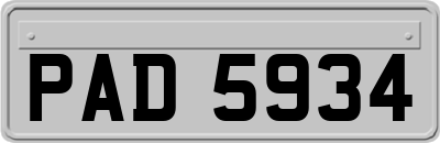 PAD5934