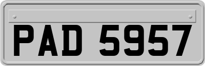 PAD5957