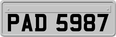 PAD5987