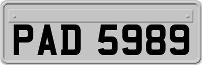 PAD5989