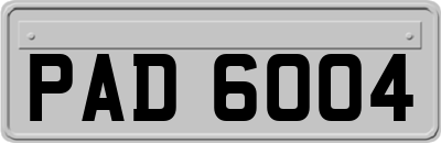 PAD6004
