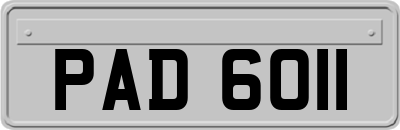 PAD6011
