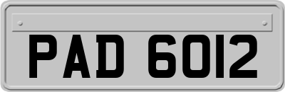PAD6012