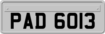 PAD6013