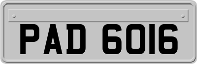 PAD6016