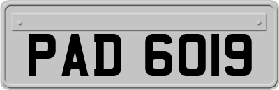 PAD6019