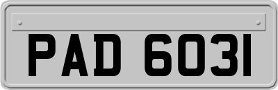 PAD6031