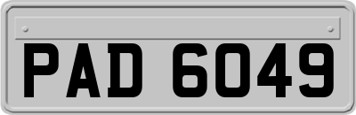PAD6049