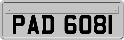 PAD6081