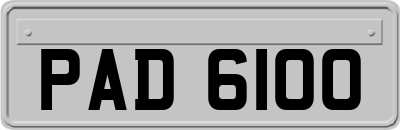 PAD6100