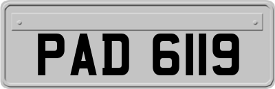 PAD6119