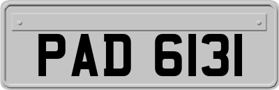 PAD6131