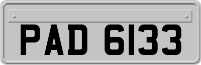 PAD6133