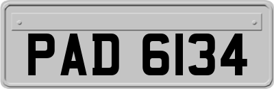 PAD6134