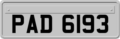 PAD6193