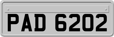 PAD6202