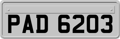 PAD6203