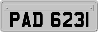 PAD6231