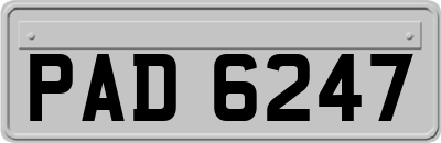 PAD6247