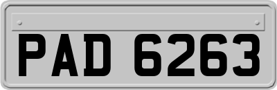PAD6263
