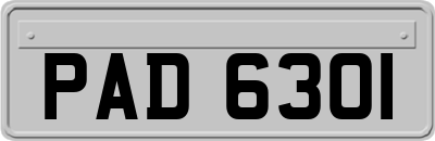 PAD6301