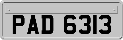PAD6313