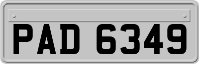 PAD6349