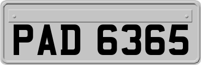 PAD6365