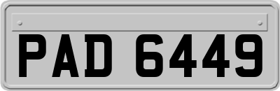 PAD6449
