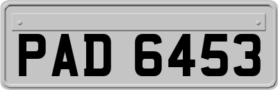 PAD6453