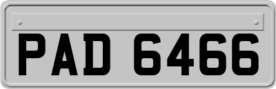 PAD6466