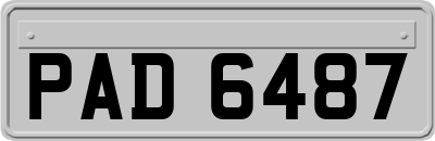 PAD6487